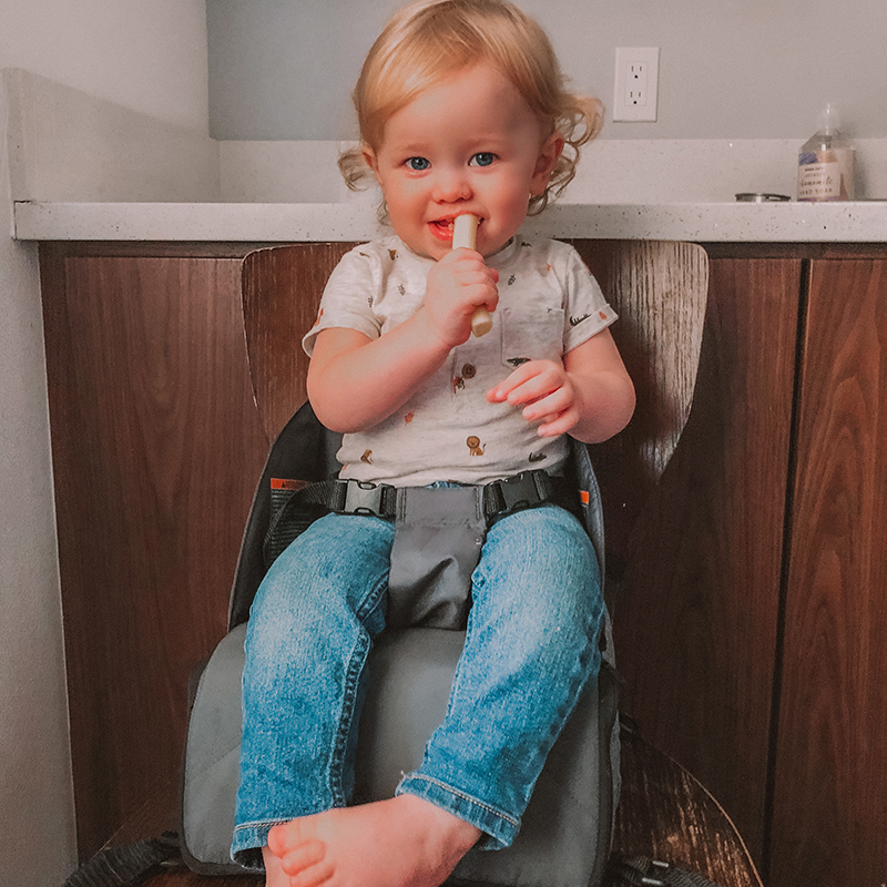 Contours Explore® 2 Stage Portable Booster Seat and Diaper Bag - Graphite Image 16