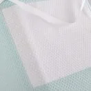 3-D mesh close-up Thumbnail