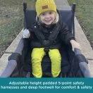 5-point safety harness Thumbnail