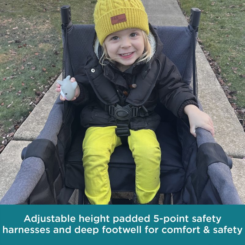 5-point safety harness