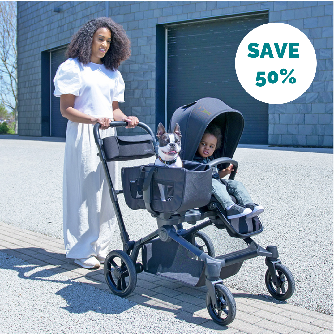 save 50% for a limited time